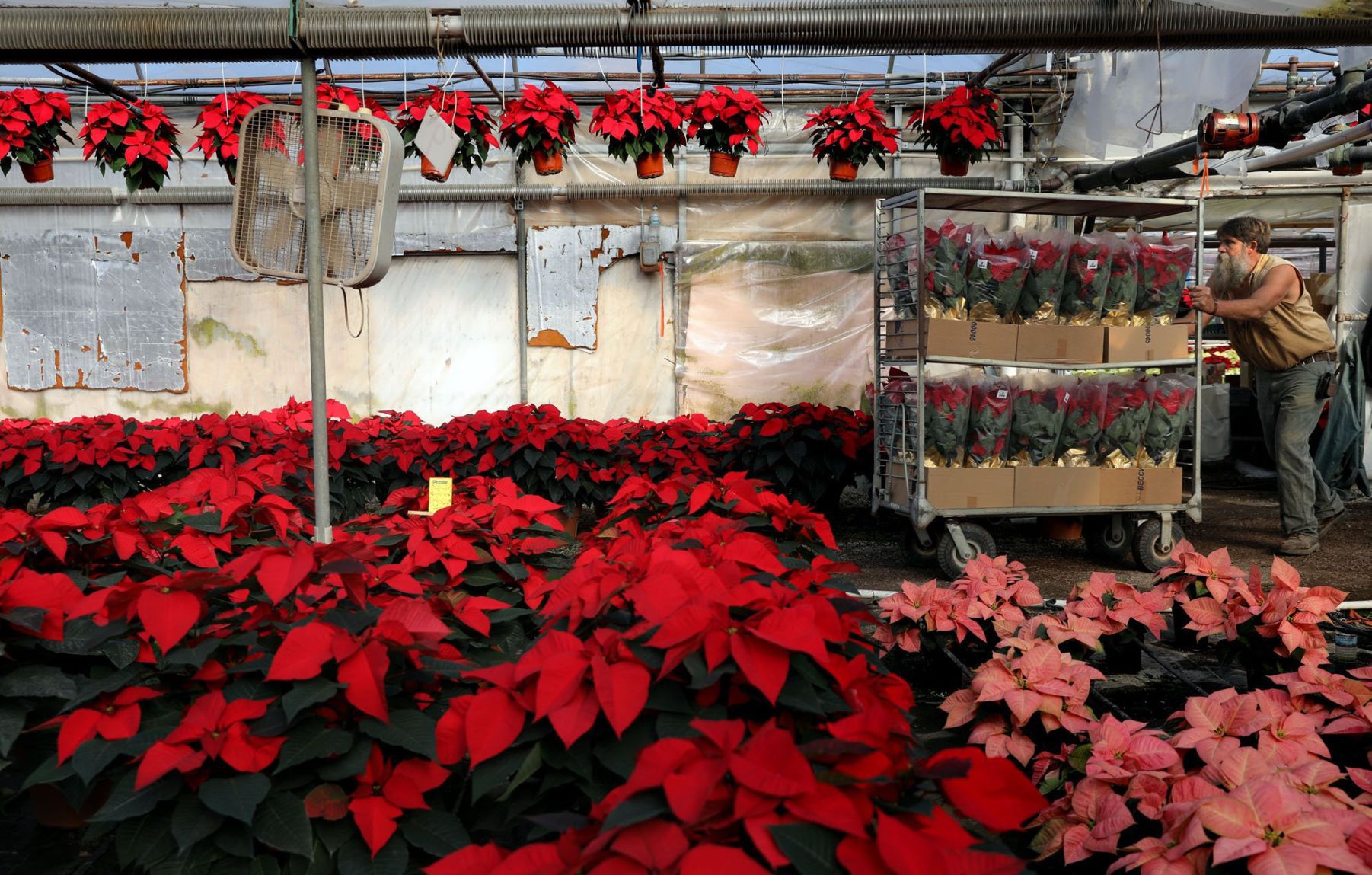 Fahr Greenhouses